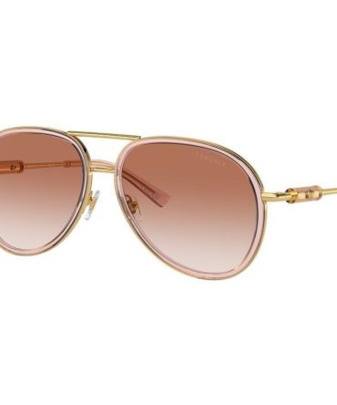 Versace VE2260 SunglassesBrown Transparent/Pink Gradient Lenses