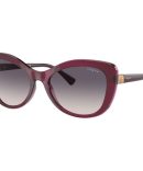 Versace VE2260 SunglassesBrown Transparent/Pink Gradient Lenses