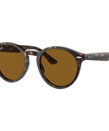 Ray-Ban Larry RB7680S SunglassesHavana/Brown Glass Lenses 49 Eye Size
