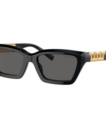Tiffany & Co. TF4213F SunglassesBlack/Dark Grey Lenses