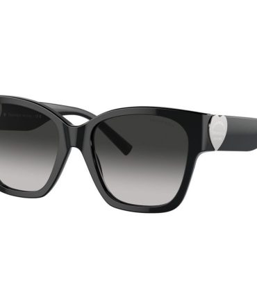Tiffany & Co. TF4216 SunglassesBlack/Grey Gradient Lenses