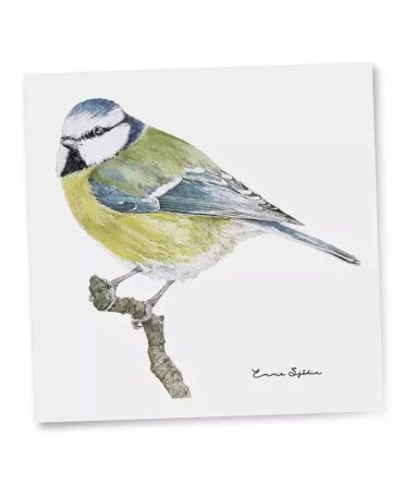Emma Sjodin: Gift Card, Blue Tit