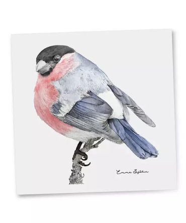 Emma Sjodin: Gift Card, Bullfinch