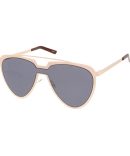 BV1362S 001 black/smoke lens