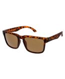 VE4475 536087 black/grey lens