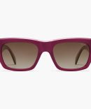 GG1495S 001 gold/smoke lens