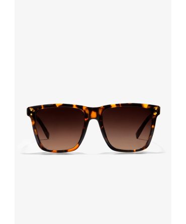 Roosevelt II Carey / Brown