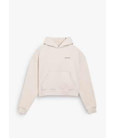 Worldwide Crop Hoodie Ice Grey