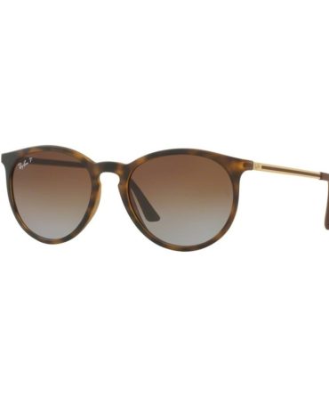 RB4274 856/T5 [53] MAT HAVANA BROWN GRAD POLA