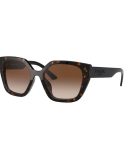 TF818 08G HOLDEN GUNMETAL/BROWN GRADIENT LENS
