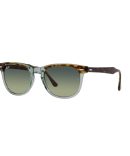 RAMBLER X 177-12204P WOODLAND MATTE/BROWN POLARISED LENS