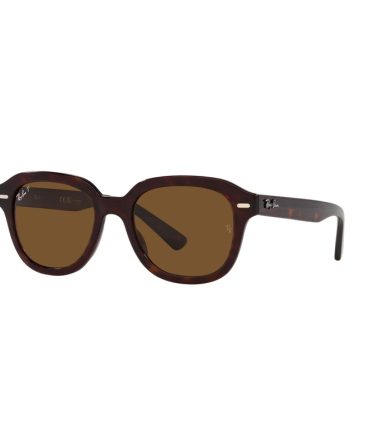 RB4398 902/57 (53)  HAVANA/BROWN POLARISED GLASS LENS