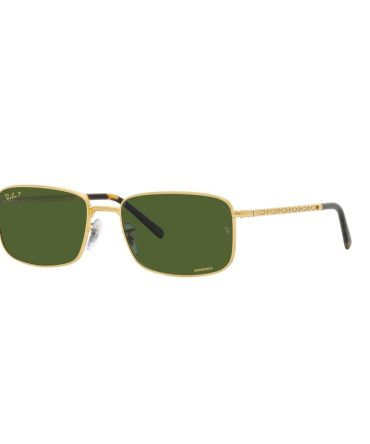 RB3717 9196P1 GOLD/GREEN POLARISED LENS
