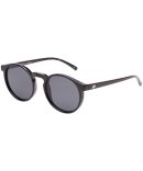 Pilferer 2552126 black/lilac lens