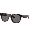 Batwolf 910168 matte black/grey polarised