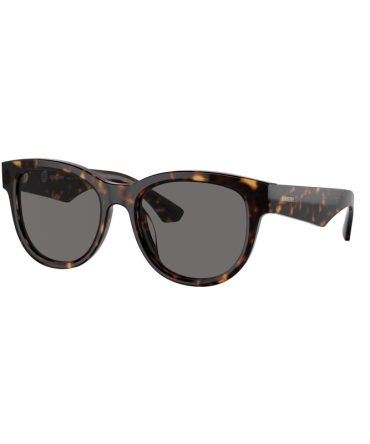 BE4432U 300281 havana/grey polarised lens