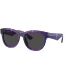 BE4453 3001/87 black/dark grey lens
