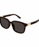 SK6018 100273 havana/dark brown lens