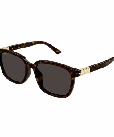 GG1505SK 002 Havana/Brown lens