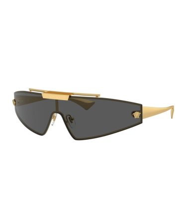VE2265 100287 gold/grey lens