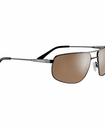 DANTE 2.0 SS564005 GUNMETAL POL DRIVERS