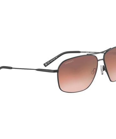 DORWINN SS578003 GUNMETAL/POLARISED DRIVERS PHOTOCHROMIC LENS