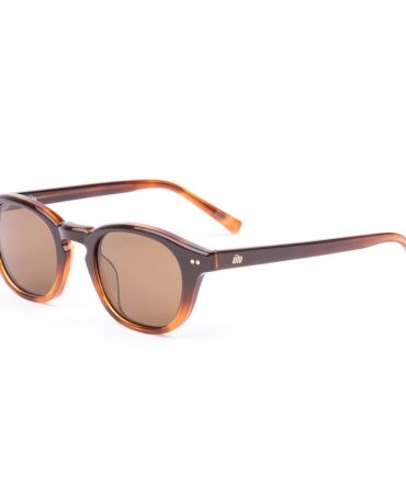 Elio tan gradient brown polarised lens