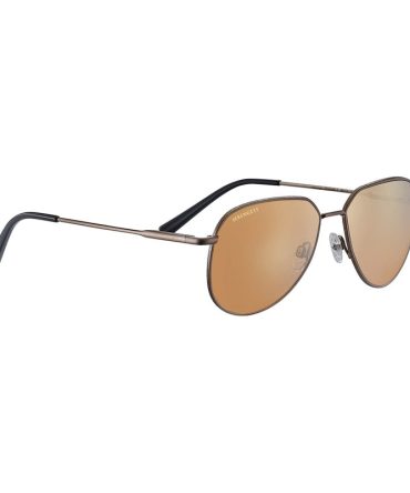 HAYWOOD SS543001 BRUSHED BRONZE/DRIVERS GOLD  POLARISED PHOTOCHROMIC LENS