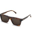 Galavant 2452355 tortoise/green lens