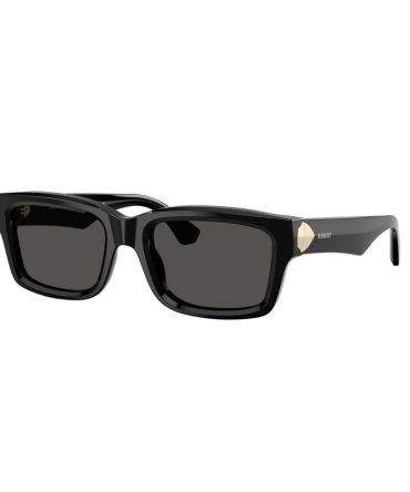 BE4443 300187 black/dark grey lens