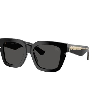 BE4453 3001/87 black/dark grey lens