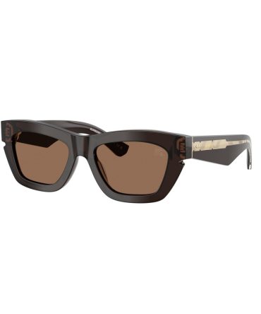 BE4454 411673 brown/ dark brown lens