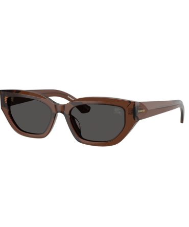 BE4463D 411687 brown/ brown lens