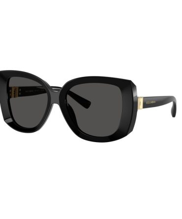 DG4495 501/87 black/grey lens
