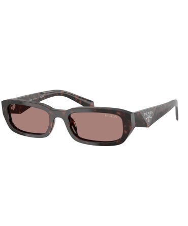 SPRB06S 17N60B  root tortoise/light brown lens