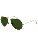 RAMBLER X 177-12204P WOODLAND MATTE/BROWN POLARISED LENS