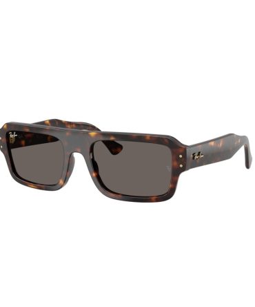 RB4454 1395B1 (56) havana/grey lens