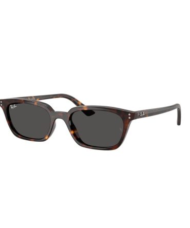 RB4456 135987 (53) havana/grey lens