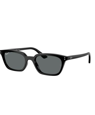 RB4456 667781 (53) black/grey polarised lens