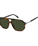 TF1081 05E  Frances black havana/ brown lens